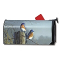 MailWraps